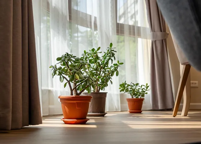 Daya 2br Luxury דירה